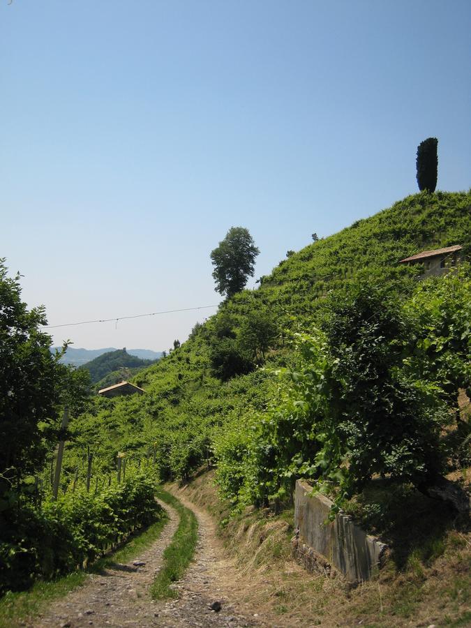 Azienda Agricola Campion Valdobbiadene Exterior photo